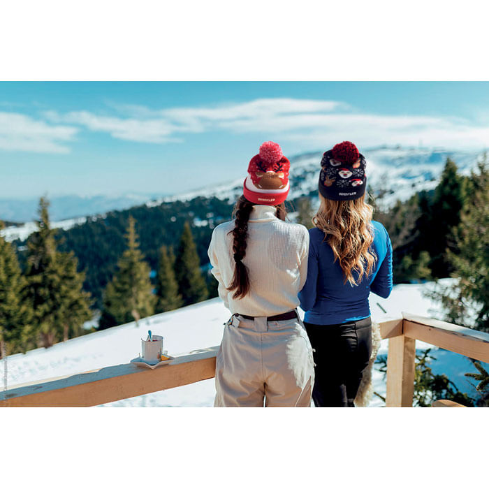 Aceasta este imaginea corespunzatoare acestui obiect