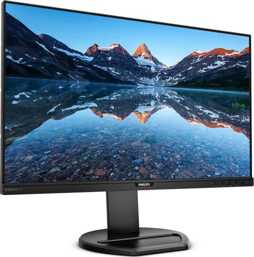 MONITOR 25 PHILIPS 252B9 MONITOR 25