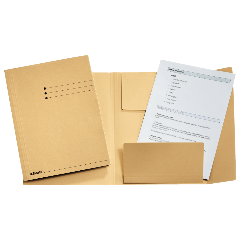 Dosar plic Esselte carton 3 clape kraft