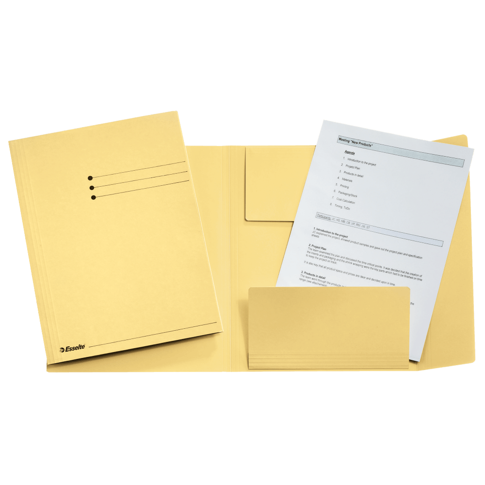 Dosar plic Esselte carton 3 clape galben