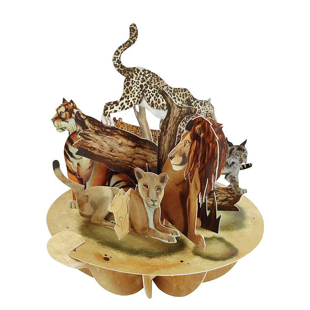 Aceasta este imaginea corespunzatoare acestui obiect