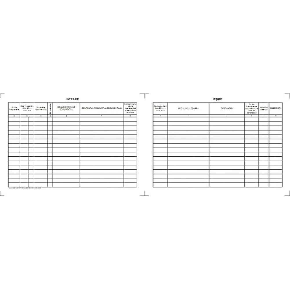 Registru intrare - iesire, A4, hartie offset, 100 file/carnet