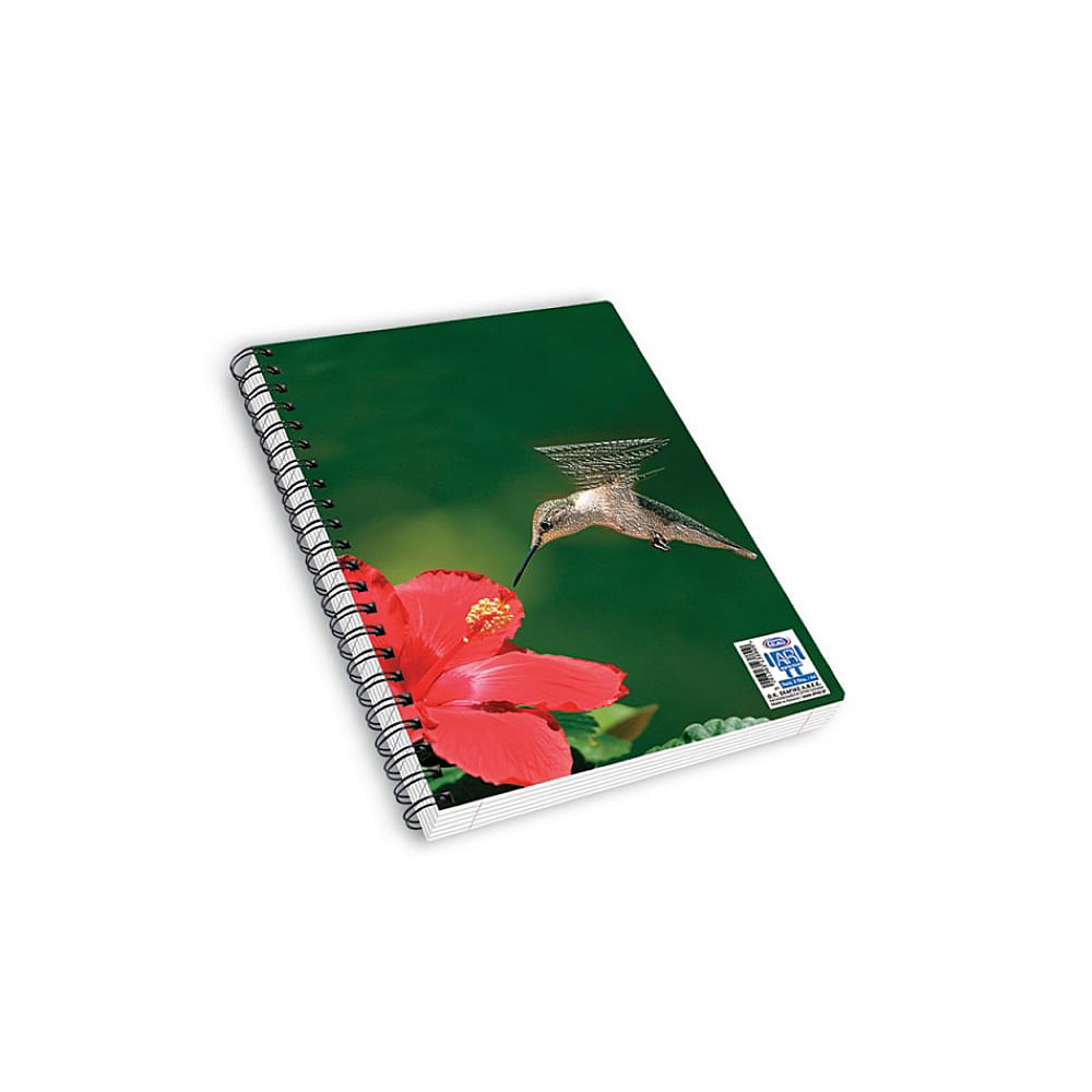 Caiete cu aplicatie ar skag, colibri