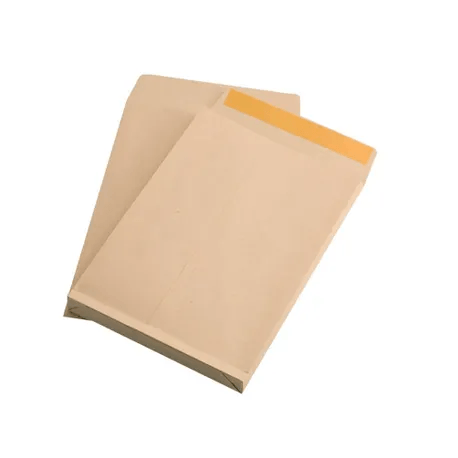 Set 10 plicuri cu burduf TB/5 siliconic kraft 175 x 250 x 20 mm dacris.net imagine 2022 depozituldepapetarie.ro