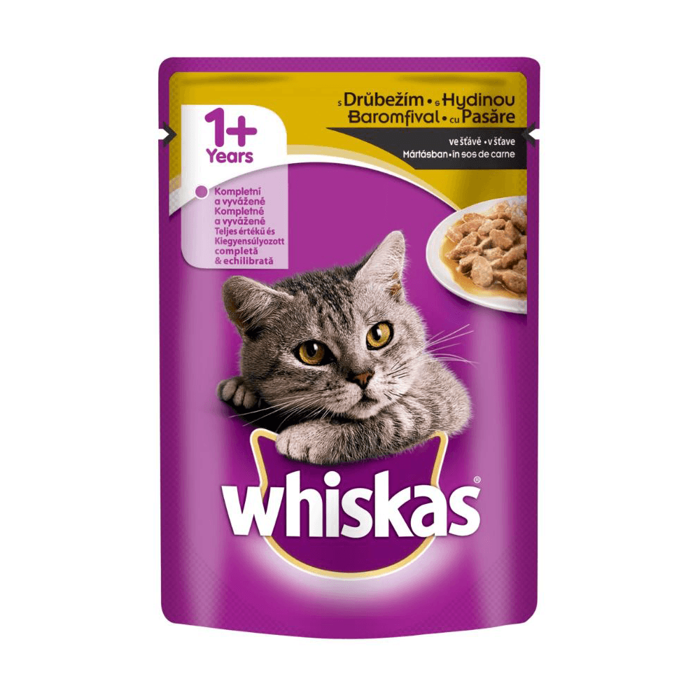 Hrana umeda pisici pasare 100gr Alte brand-uri poza 2021