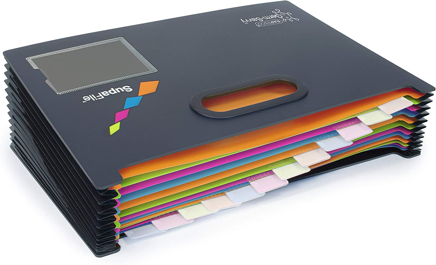 Mapa documente extensibila A4 13 compartimente negru Rapesco