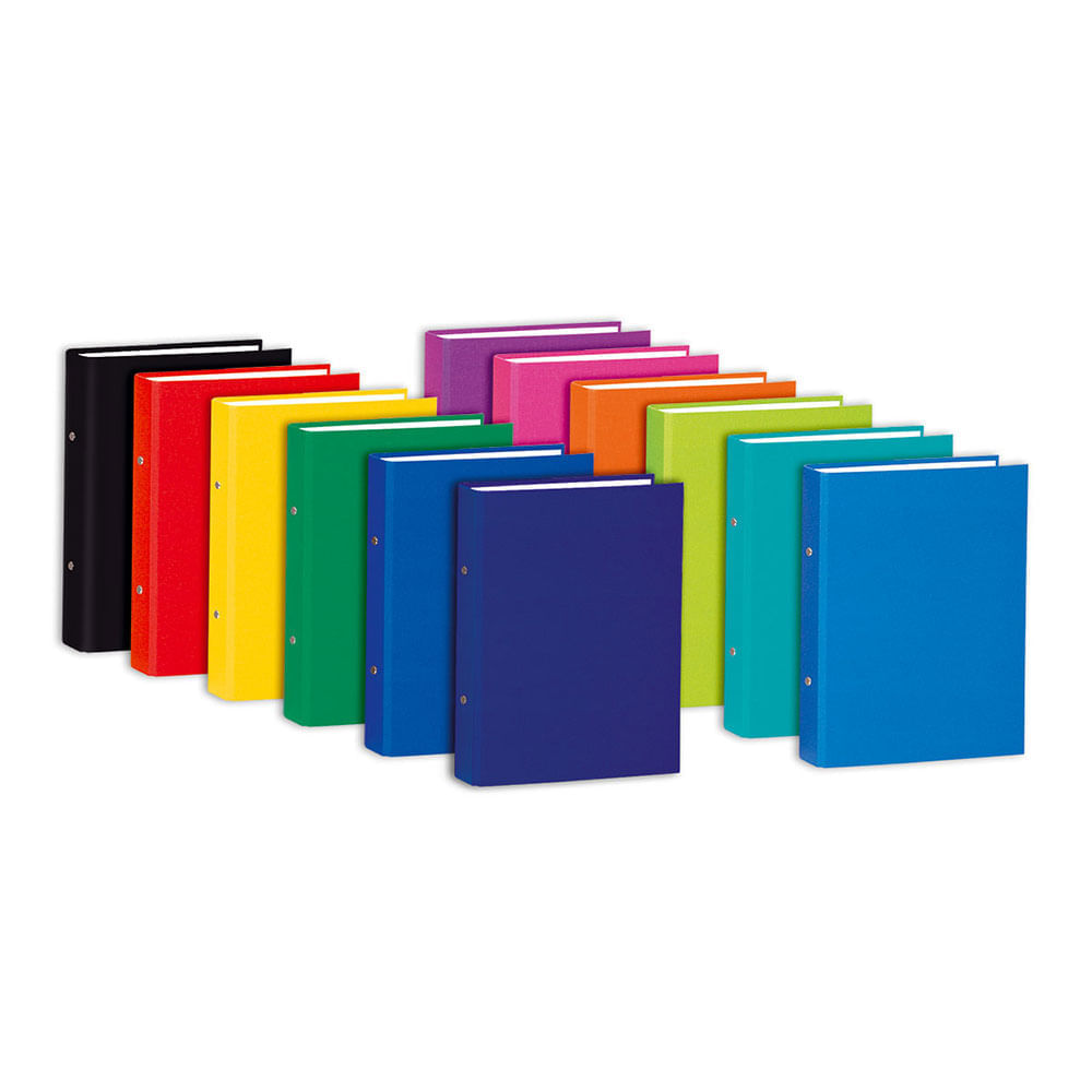 Caiete mecanice Skag PP A5 2 inele 10 bucati/set Caiete mecanice Skag PP A5 2 inele 10 bucati/set