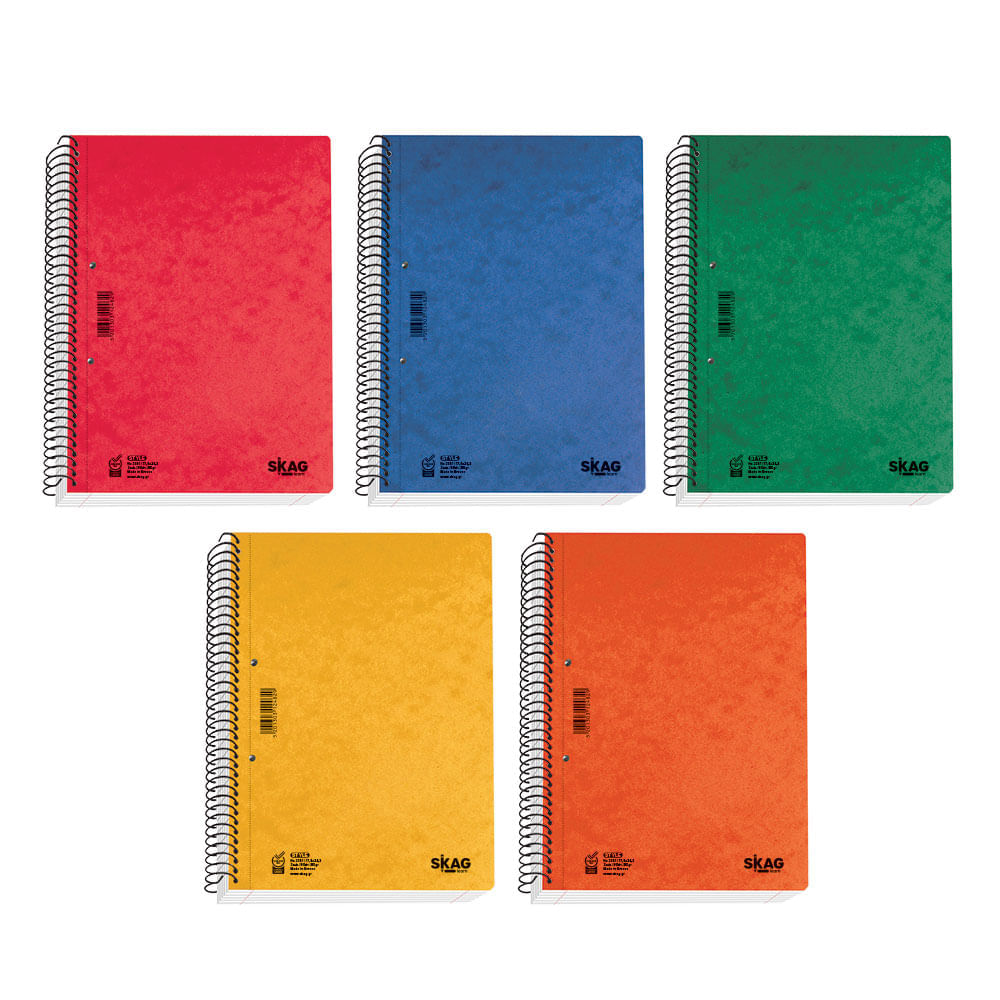 Caiet Skag Style B5 90 file cu spira si 3 diviziuni dictando Caiet Skag Style B5 90 file cu spira si 3 diviziuni dictando