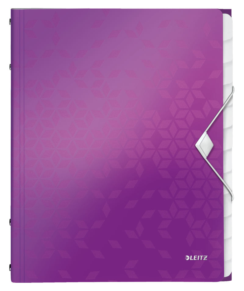 Mapa documente A4 cu 12 separatoare plastic Leitz WOW