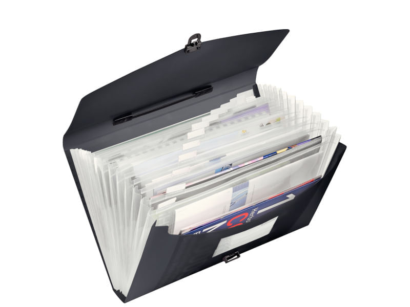 anvelope bridgestone 385/65r22.5 Mapa documente A4 cu clapa si maner plastic negru Esselte Vivida