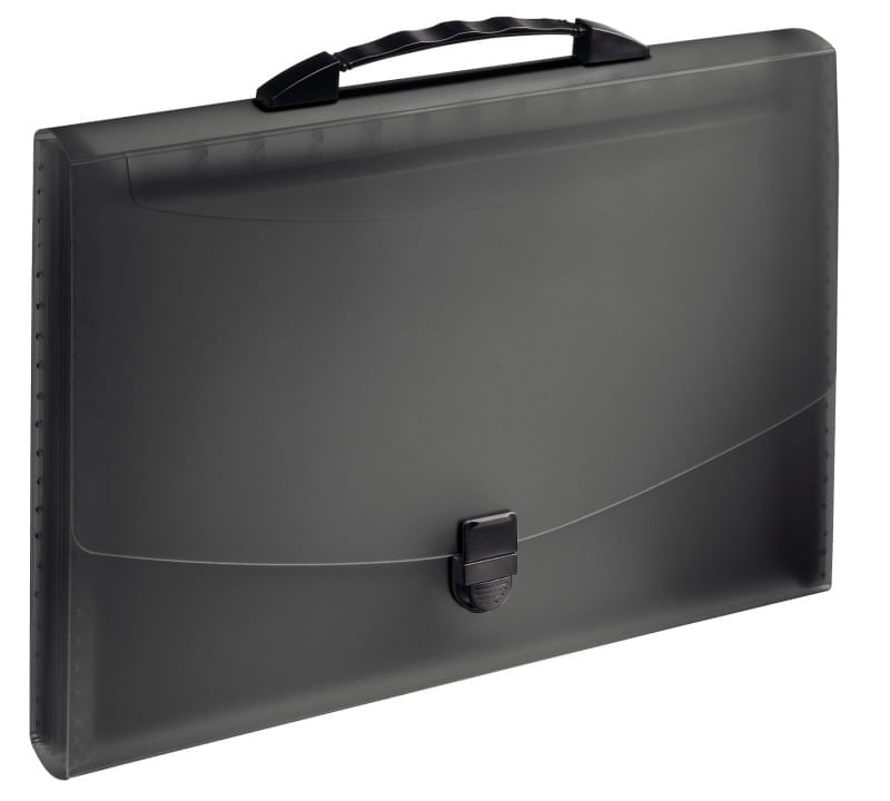 Mapa documente A4 cu clapa si maner plastic negru Esselte Vivida Mapa documente A4 cu clapa si maner plastic negru Esselte Vivida