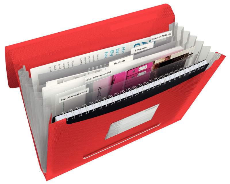 folio transparente a4 Mapa de prezentare A4 cu elastic plastic rosu Esselte Vivida