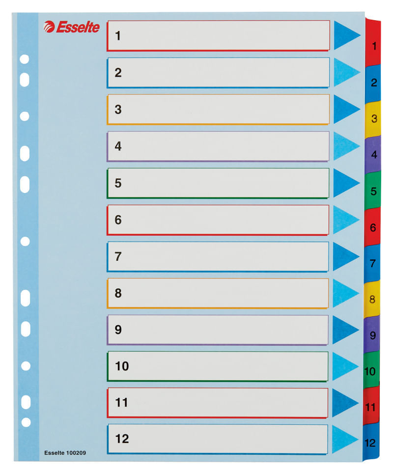 Index carton Esselte 1-12 reinscriptibil Index carton Esselte 1-12 reinscriptibil