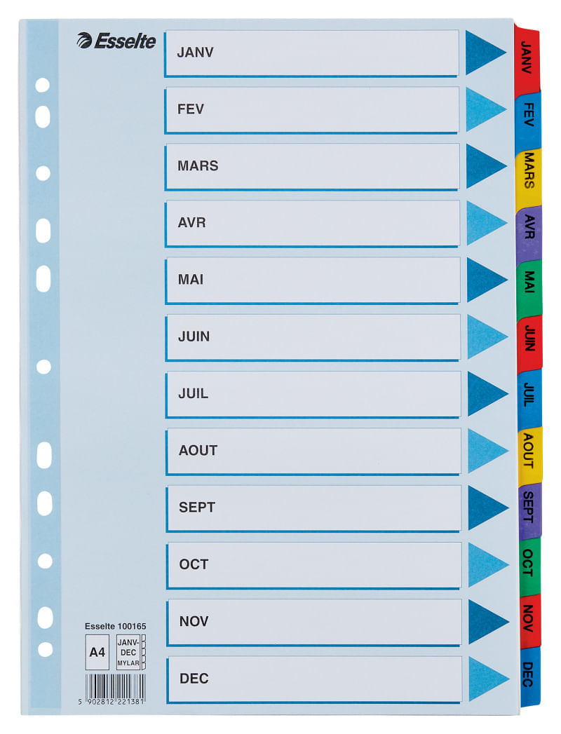 Index carton Esselte Mylar cu taste laminate A4 index Ianuarie-Decembrie
