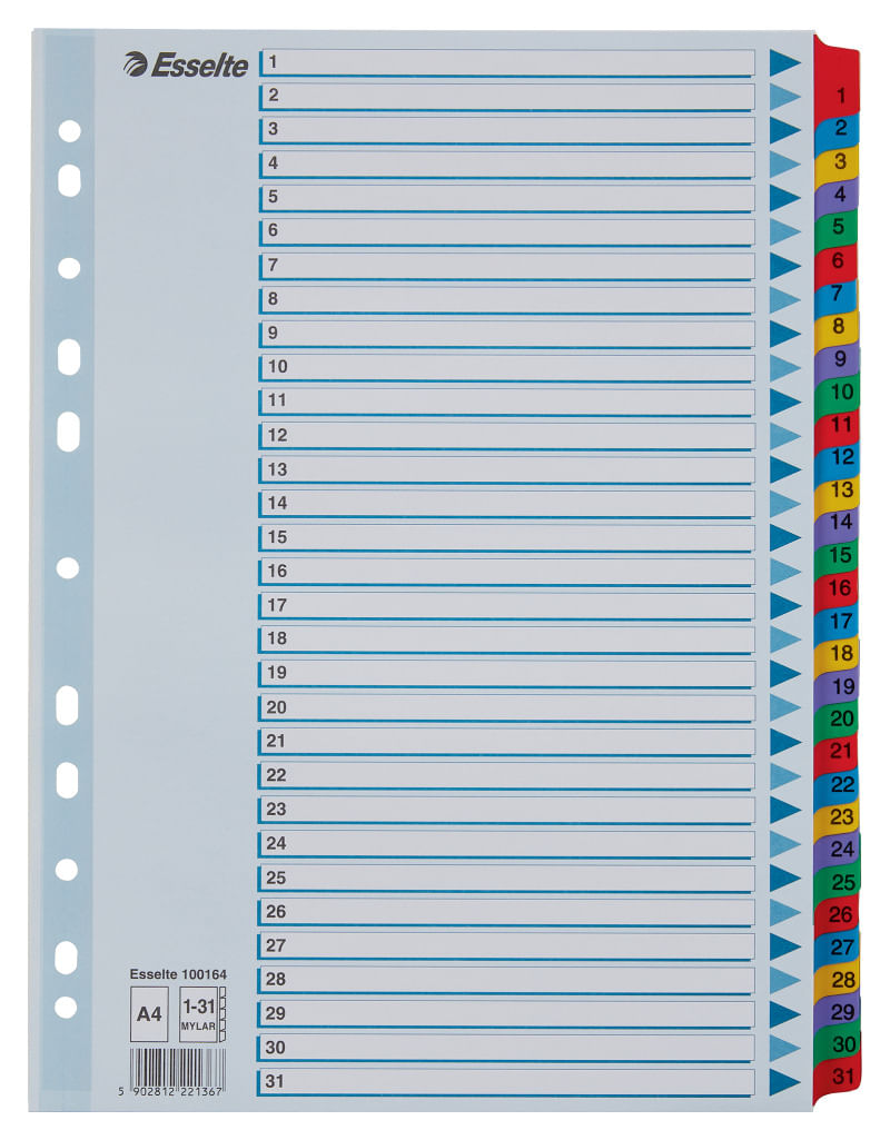 Index Esselte Mylar A4 cu taste laminate 1-31