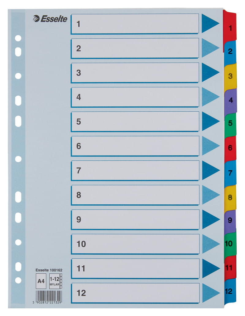 Index carton Esselte Mylar cu taste laminate A4 index 1-12
