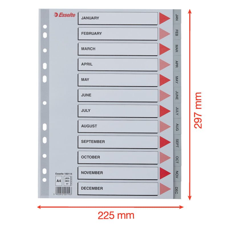 Index Esselte A4 Ianuarie-Decembrie