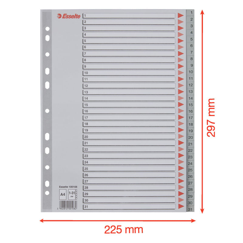 Index plastic Esselte A4 index 1-31