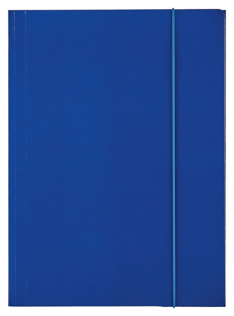 cat costa un ceas stainless steel back Mapa carton A4 cu elastic Esselte Economy albastru inchis