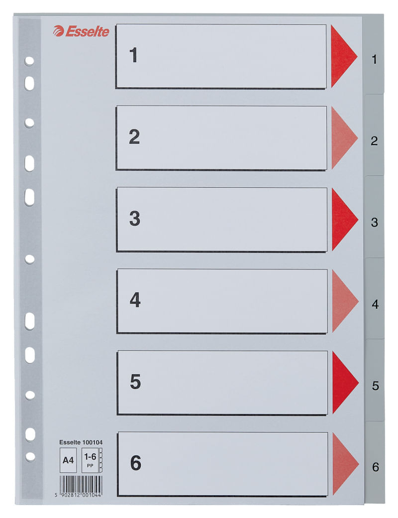 Index Esselte, plastic, reciclabil, A4, 1-6, gri