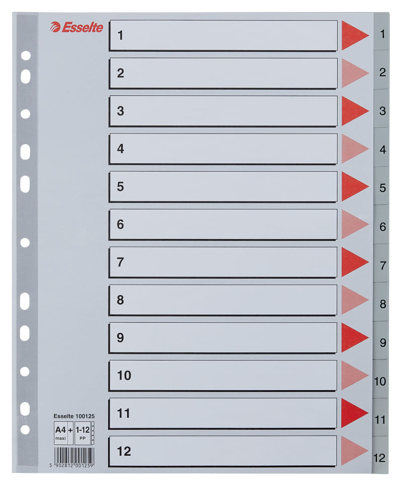 Index Esselte, plastic, reciclabil, A4 MAXI, 1-12, gri Index Esselte, plastic, reciclabil, A4 MAXI, 1-12, gri