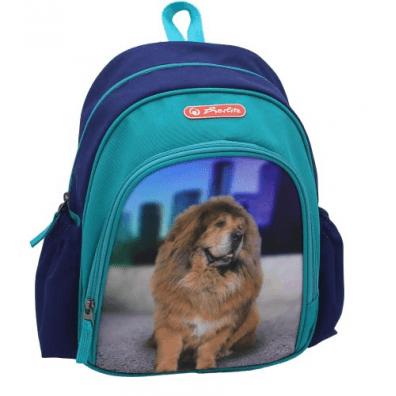 Rucsac 31 x 20 x 12 cm Cool Phantom Blue Herlitz