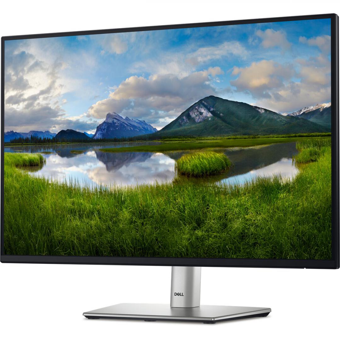 DL MONITOR 24 P2425E LED 1920x1200 DL MONITOR 24