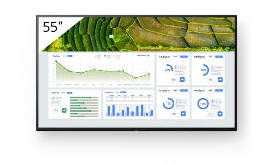 Monitor Signage SONY FW-55BZ30L