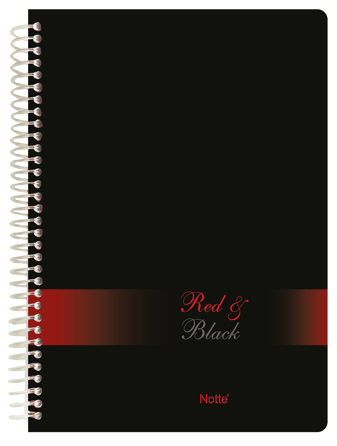 Vezi detalii pentru Caiet Notte A4 cu spira 4 diviziuni 100 file dictanto