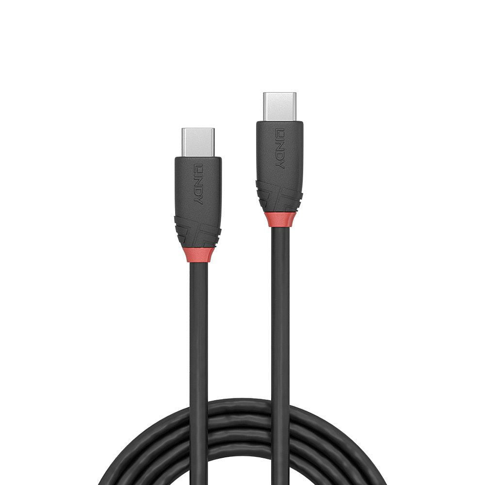 Lindy Cablu 1m USB 3.2 Type C to C 200gp