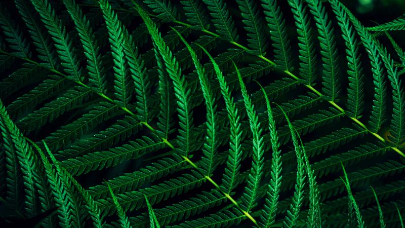 MONITOR 27 PHILIPS 27B2G5601/00 MONITOR 27