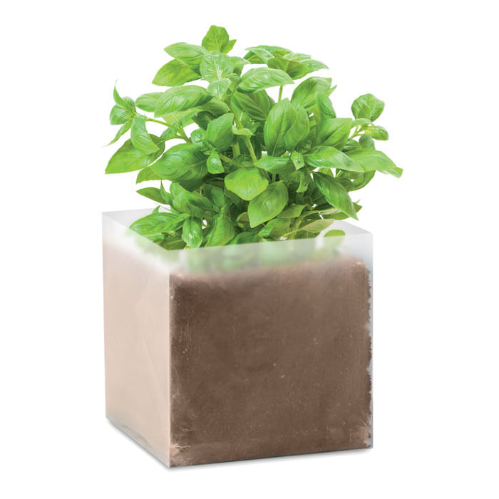Compost cu seminte BASIL Compost cu seminte 
