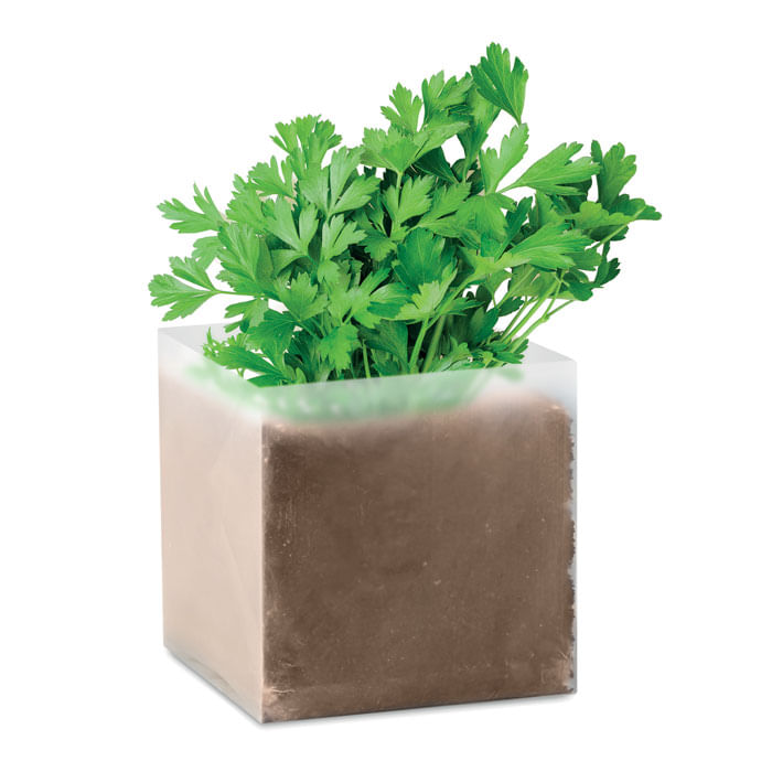 Compost cu seminte PARSLEY Compost cu seminte 