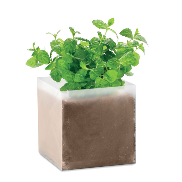Compost cu seminte MINT Compost cu seminte 