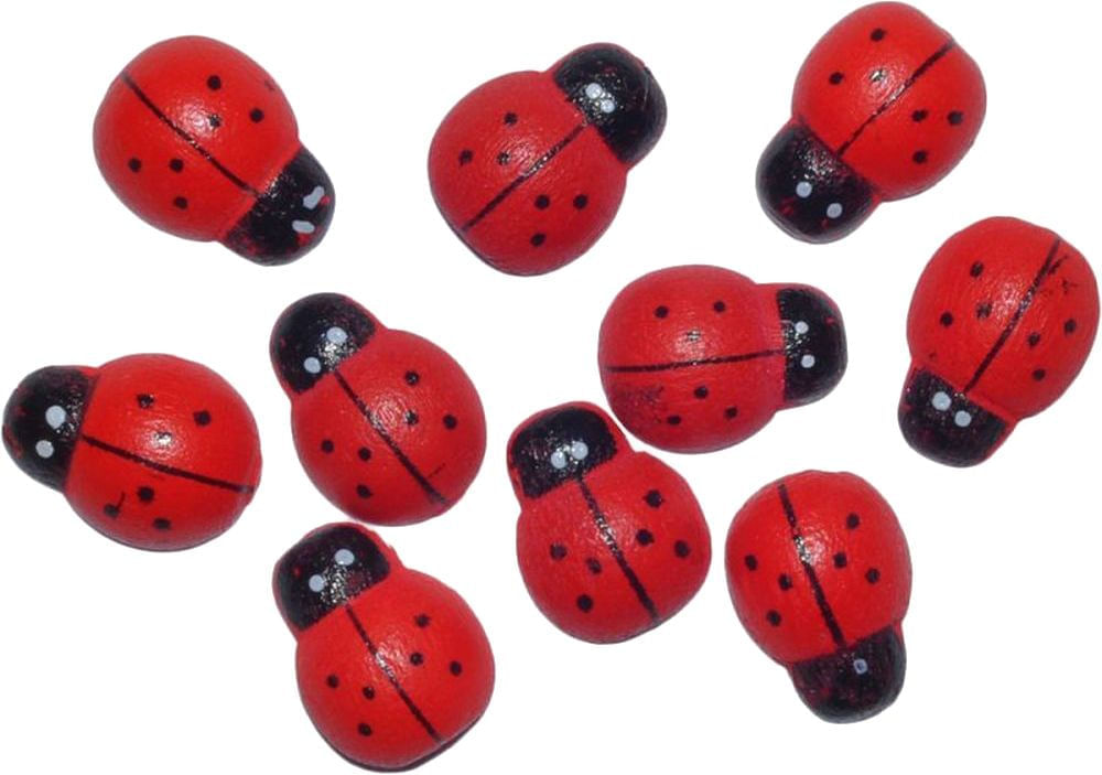 Set de buburuze din lemn pentru activitati craft 10 bucati